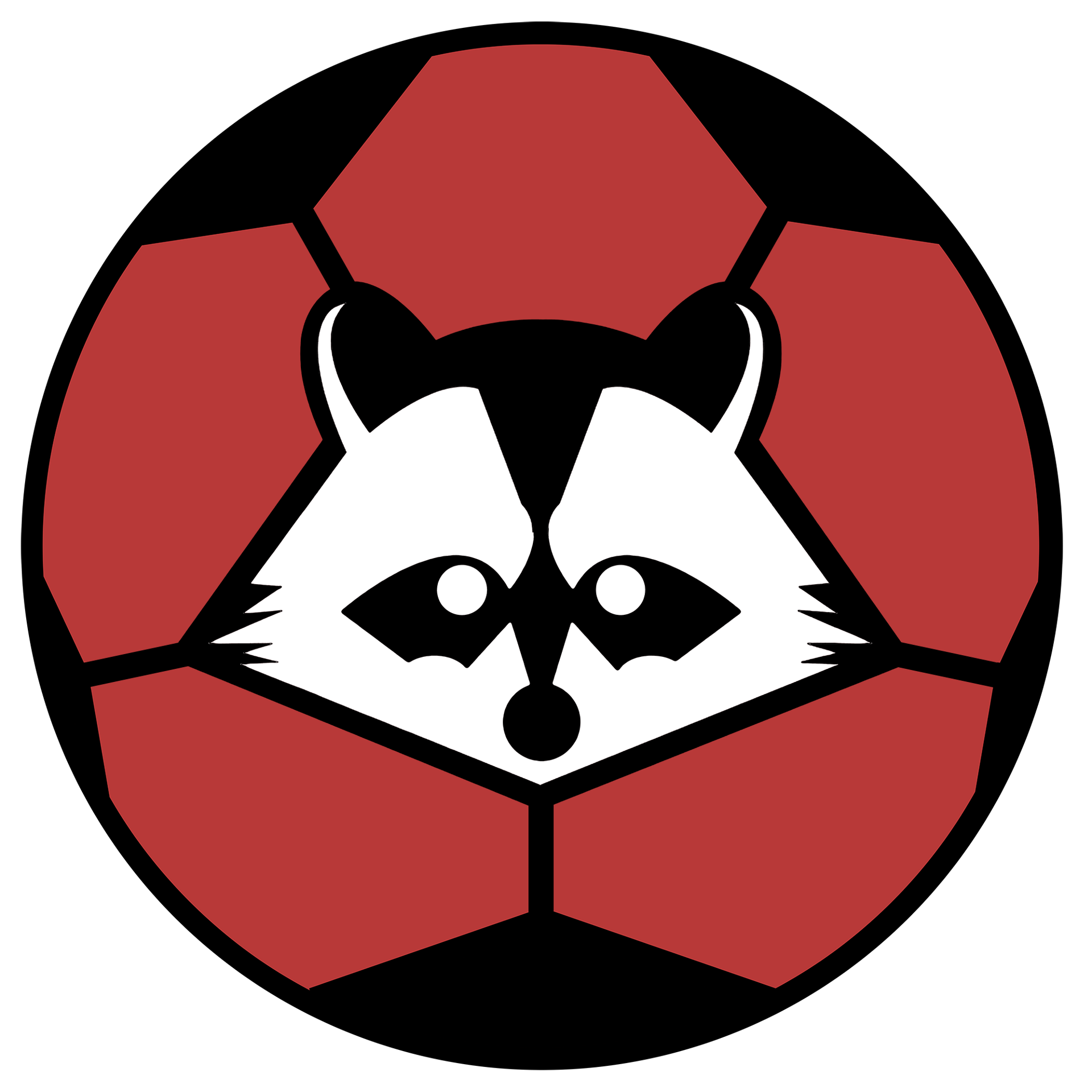 STM32 microcontroller and embedded electronics